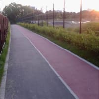 Calisthenics Park at Большая Черкизовская улица, Москва #wp1991 - thumbnail 9
