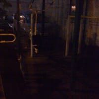 Calisthenics Park at Большой Овчинниковский переулок, Москва - thumbnail 2