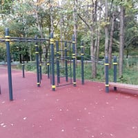 Calisthenics Park at аллея Славы, Москва - thumbnail 3