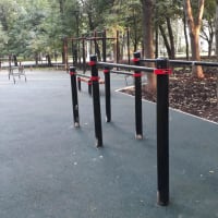 Calisthenics Park at Берёзовая аллея, Москва - thumbnail 5