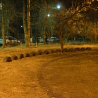 Calisthenics Park at улица Ломоносова, Жуковский - thumbnail 3