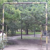 Calisthenics Park at Пушкинская улица, Ростов-на-Дону - thumbnail 2