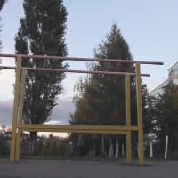 Calisthenics Park at улица Кижеватова, городской округ Пенза - thumbnail 2