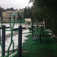 Calisthenics Park at улица Бзугу, Сочи - thumbnail 3