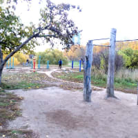 Calisthenics Park at аллея Дорога Жизни, Москва #wp2167 - thumbnail 2
