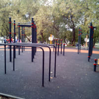 Calisthenics Park at Путейская улица, Москва - thumbnail 4