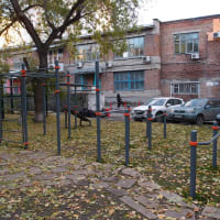 Calisthenics Park at Советская улица, Новосибирск #wp2190 - thumbnail 2