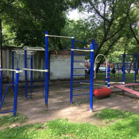 Calisthenics Park at Николоямский переулок, Москва - thumbnail 3