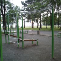 Outdoor Gym in Казачка, Хабаровск - thumbnail 6