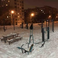 Calisthenics Park at Зельев переулок, Москва - thumbnail 2
