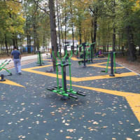 Calisthenics Park at Лыжероллерная трасса имени Ларисы Лазутиной, Московская область - thumbnail 4