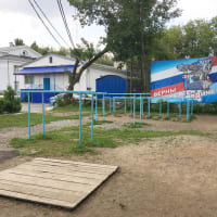 Calisthenics Park at Динамо, Пермь - thumbnail 2