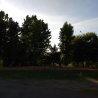 Calisthenics Park at Каширское шоссе, Москва #wp2318 - thumbnail 2