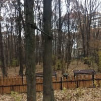 Calisthenics Park at Аэродромная улица, Москва - thumbnail 2