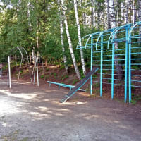 Calisthenics Park at тропинка академика Б. В. Войцеховского, городской округ Новосибирск - thumbnail 8