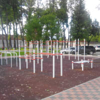 Calisthenics Park at Садовый переулок, Тула - thumbnail 3