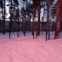 Calisthenics Park at улица Курчатова, Заречный - thumbnail 2