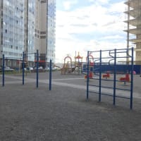 Calisthenics Park at улица Михаила Дудина, Парголово - thumbnail 2