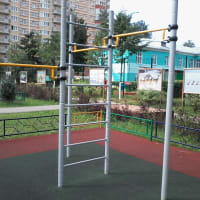 Calisthenics Park at Школьная улица, Ивантеевка - thumbnail 15