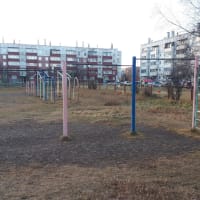 Calisthenics Park at проспект Байконур, Шарыпово - thumbnail 2