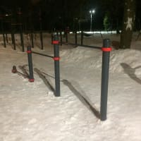 Calisthenics Park at улица Гамалеи, Москва #wp2699 - thumbnail 2