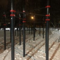Calisthenics Park at улица Гамалеи, Москва #wp2699 - thumbnail 3