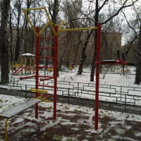 Calisthenics Park at Малый Песчаный переулок, Москва - thumbnail 3