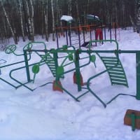 Calisthenics Park at Зональная улица, Москва - thumbnail 8