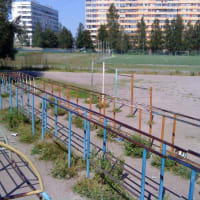 Calisthenics Park at улица Композиторов, Санкт-Петербург - thumbnail 2