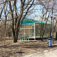 Calisthenics Park at улица Свободы, Москва #wp2817 - thumbnail 8