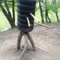 Calisthenics Park at улица Академика Виноградова, Москва #wp2833 - thumbnail 8