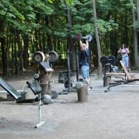 Calisthenics Park at Волоколамское шоссе, Москва #wp2837 - thumbnail 3