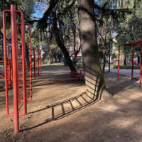 Calisthenics-Park #wp2847 - thumbnail 2