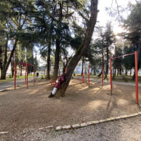 Parc de callisthénie #wp2847 - thumbnail 4