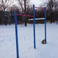Calisthenics Park at 1-й Мигаловский проезд, городской округ Тверь - thumbnail 5