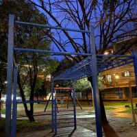 Parc de callisthénie #wp2864 - thumbnail 2