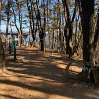 Calisthenics Park #wp2888 - thumbnail 1