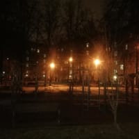 Calisthenics Park at улица Маршала Неделина, Москва #wp2905 - thumbnail 5