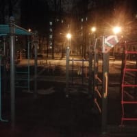 Calisthenics Park at улица Маршала Неделина, Москва #wp2905 - thumbnail 4