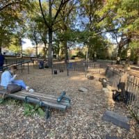 Calisthenics-Park #wp2912 - thumbnail 2