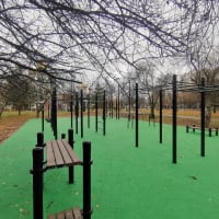 Calisthenics Park at проектируемый проезд № 4599, Москва - thumbnail 3