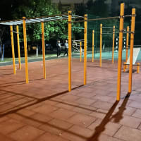 Calisthenics Park at Рэчыцкі праспект, Гомель - thumbnail 4