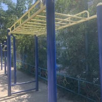 Calisthenics Park at Верхнеудинская улица, Хабаровск - thumbnail 9