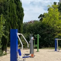 Calisthenics-Park #wp3026 - thumbnail 4