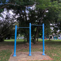 Parc de callisthénie #wp3051 - thumbnail 3