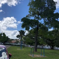Parc de callisthénie #wp3051 - thumbnail 2