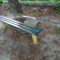 Parc de callisthénie #wp3131 - thumbnail 5