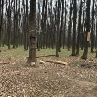 Locație mică in pădure Voluntari