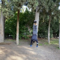 Parque de Calistenia #wp3181 - thumbnail 4