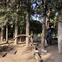 Parc de callisthénie #wp3181 - thumbnail 5